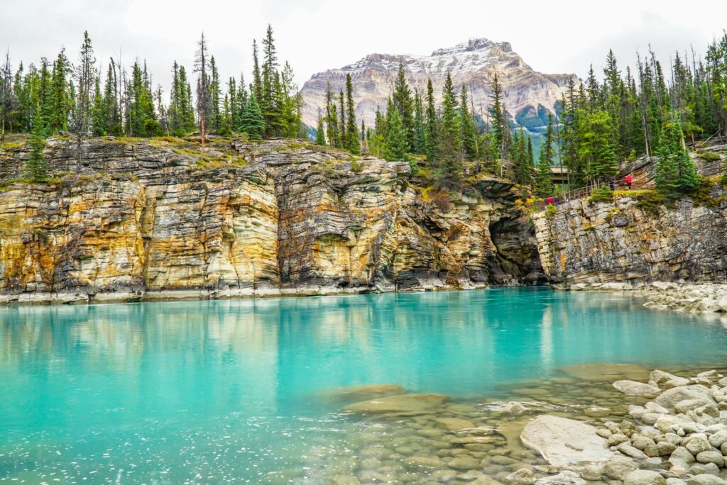 Jasper Review 2026: Still Best